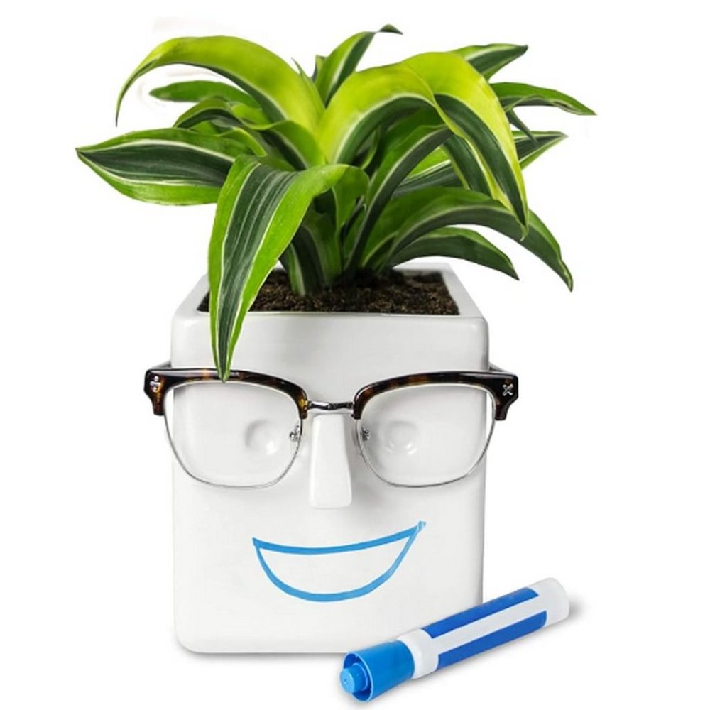 NEW Plant Flower Pot Novelty Face Planter Personality Ceramic Holder Home Decor